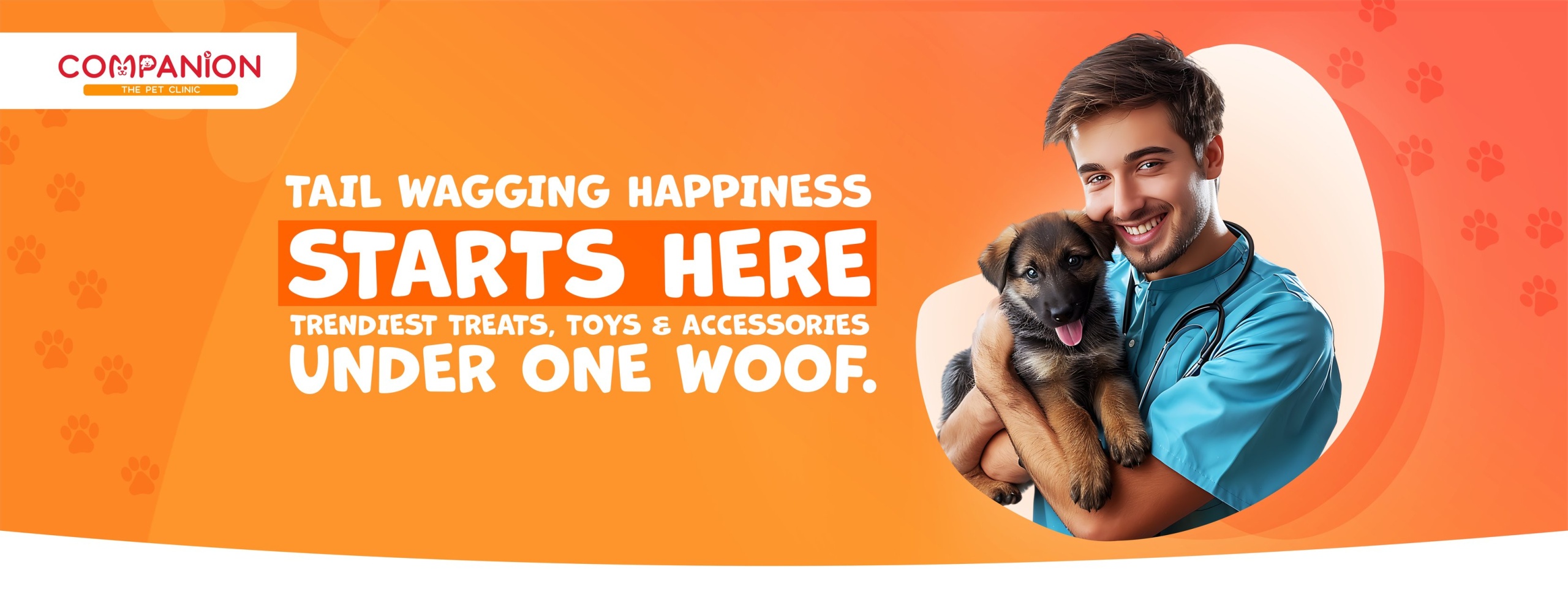 Companion Pakistan Banner